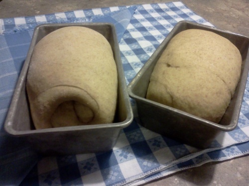 let loaves rise til double